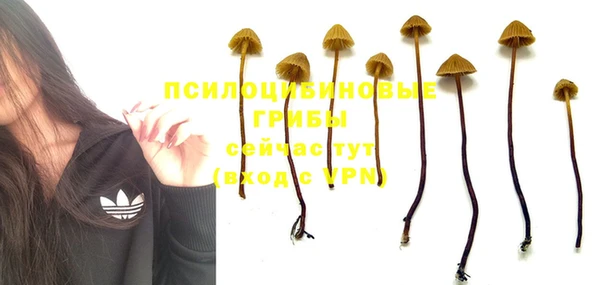 сатива Майский