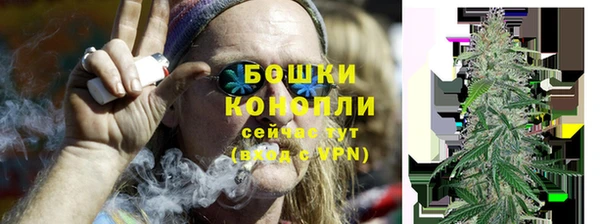 индика Магадан