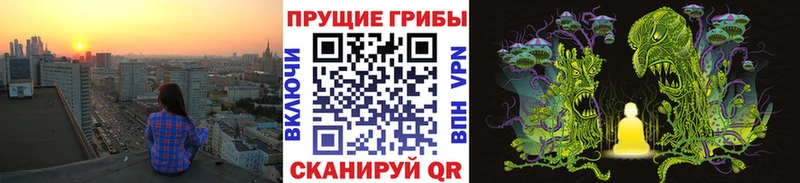 Псилоцибиновые грибы Psilocybine cubensis  Горбатов 